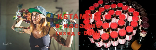 индика Алексин