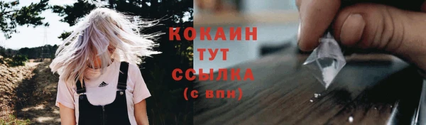 ГАЛЛЮЦИНОГЕННЫЕ ГРИБЫ Абаза