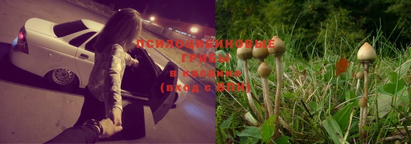 ГАЛЛЮЦИНОГЕННЫЕ ГРИБЫ Абаза